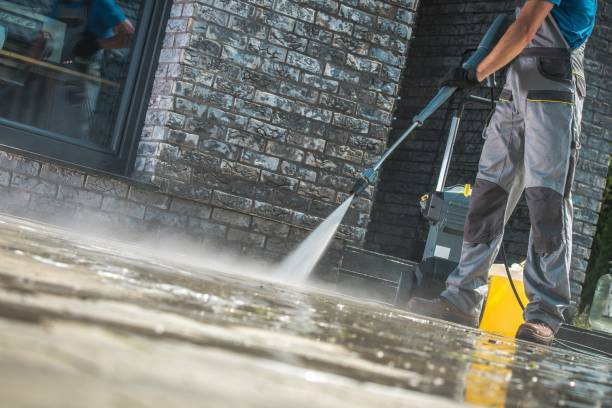 Best Soft Washing  in Redwater, TX