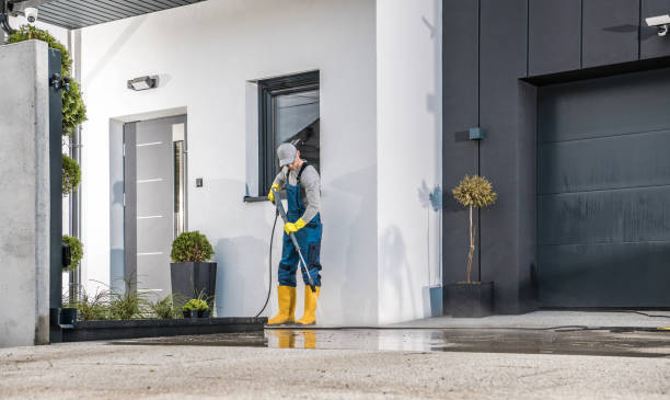 Best Solar Panel Cleaning  in Redwater, TX